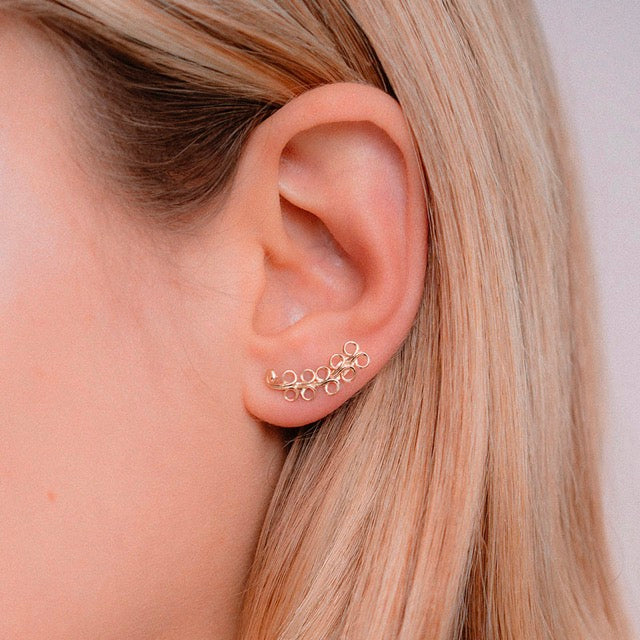 Glicine - Oro Giallo